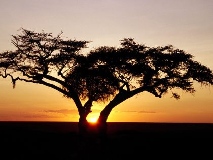 african kenya sunrise